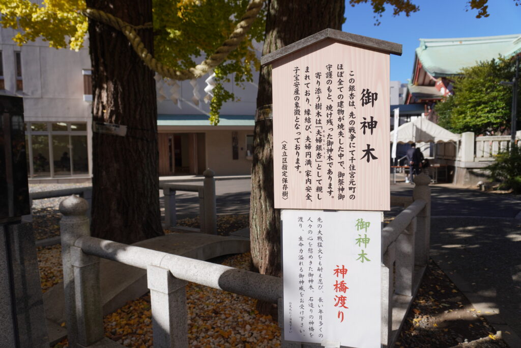 千住神社_御神木