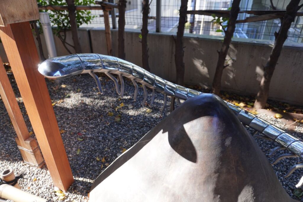 赤城神社_ムカデ