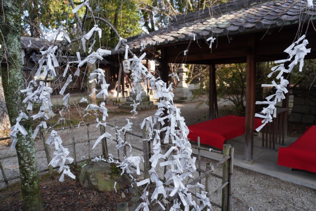 御霊神社_おみくじ