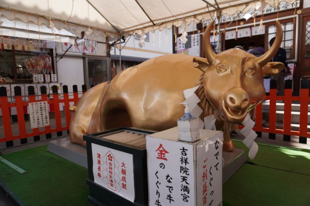 吉祥院天満宮_金のなで牛