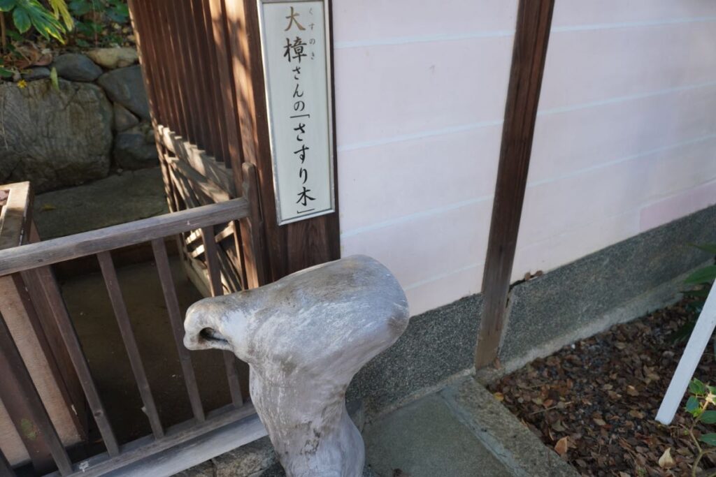 新熊野神社_さすり木