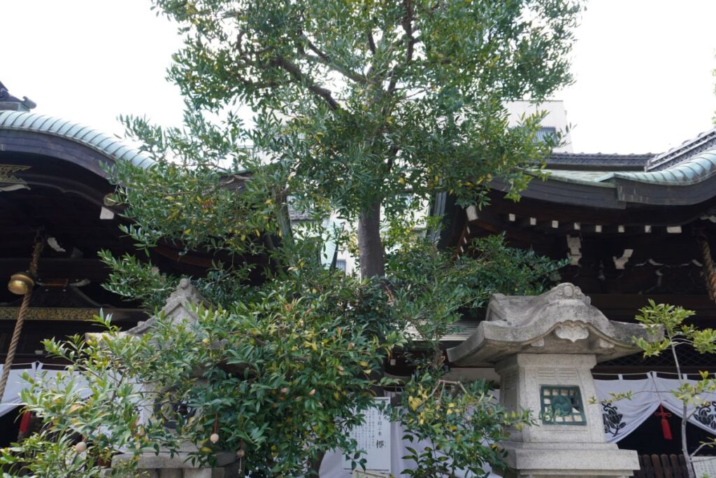 元祇園梛神社