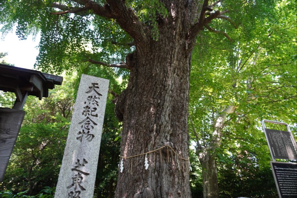 芝東照宮