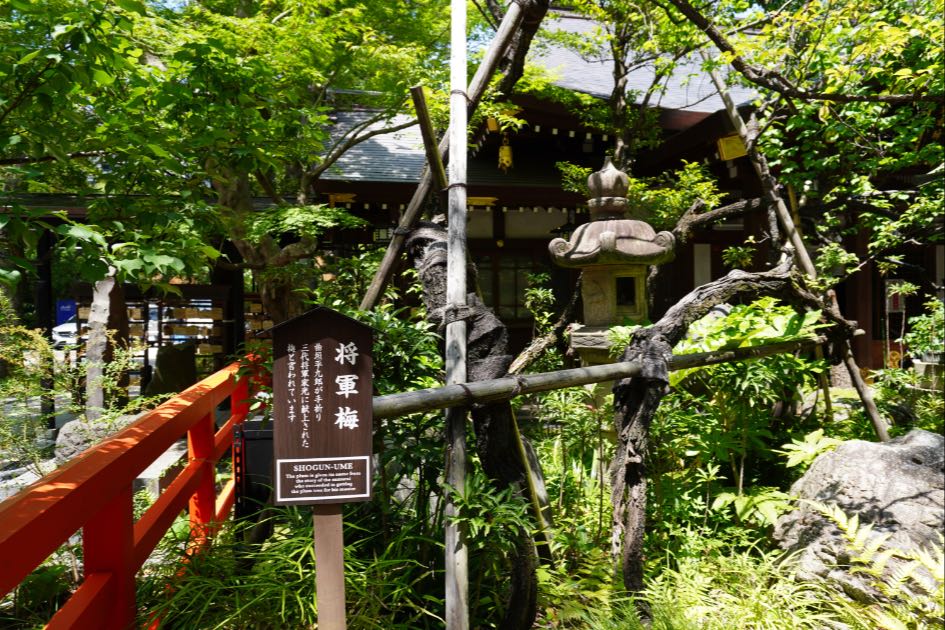 愛宕神社