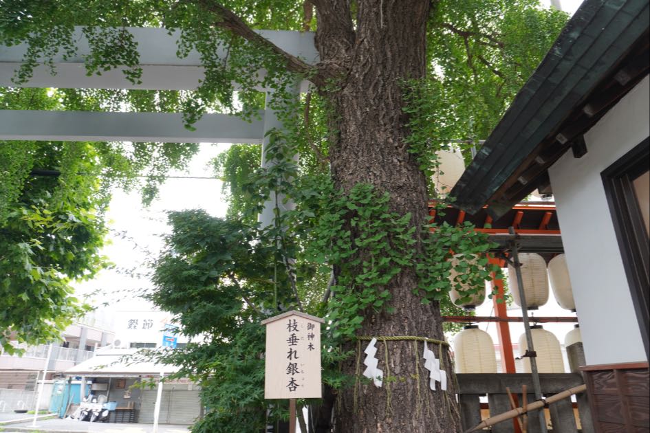波除神社