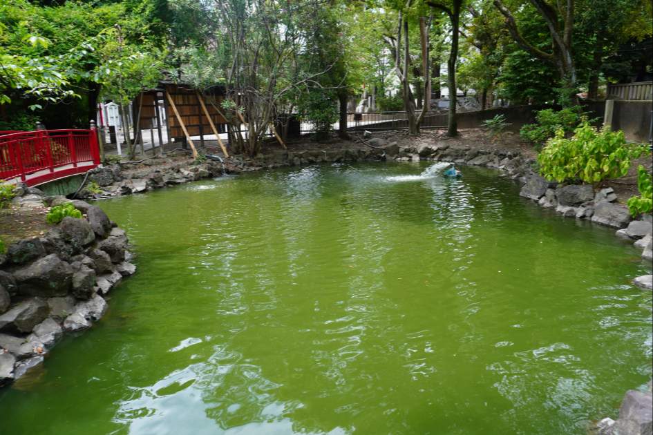 富岡八幡宮