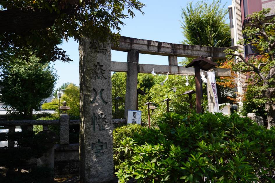 鳩森八幡神社